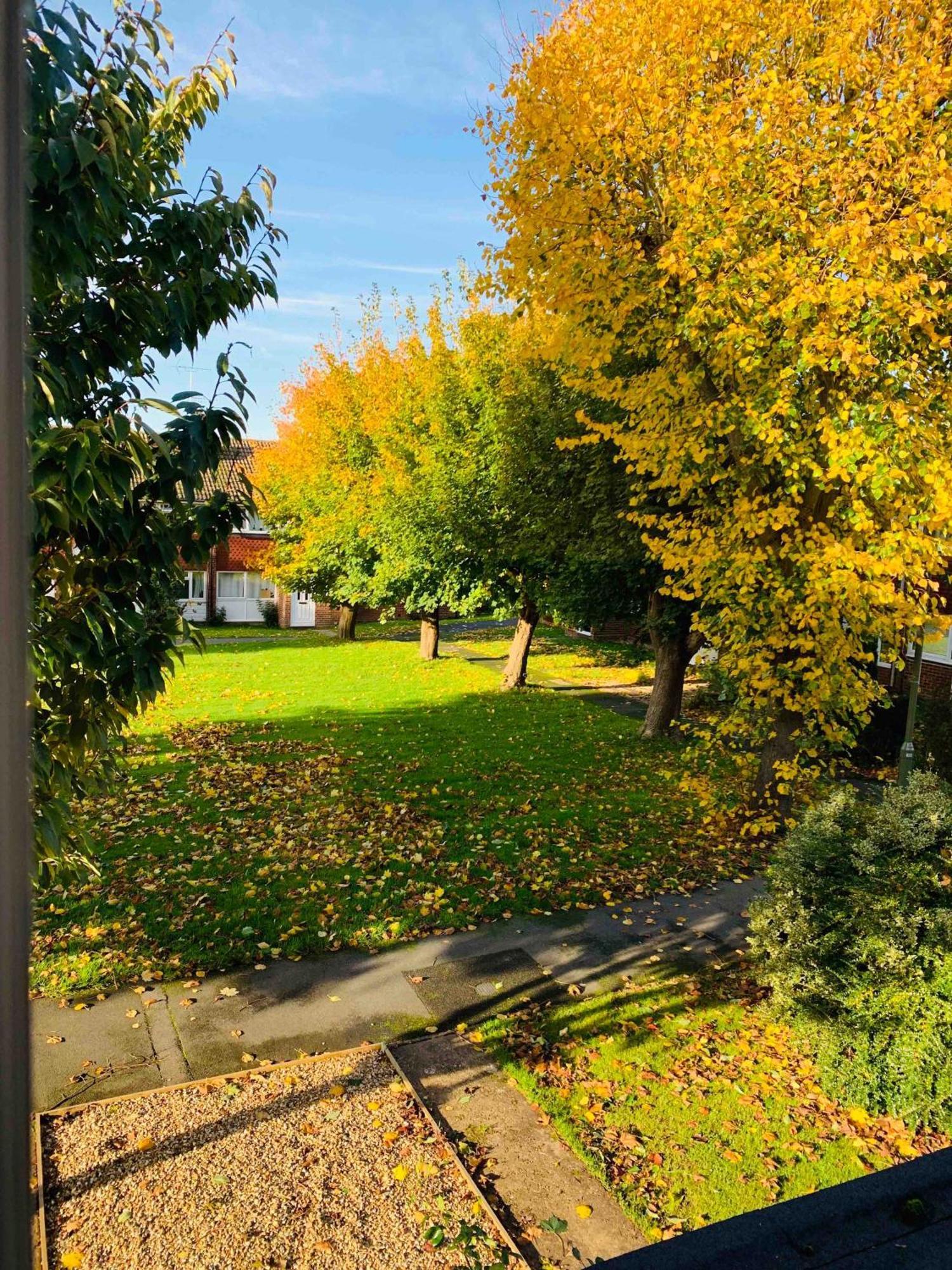 Spacious House, Free Parking & Patio Garden Farnham  Buitenkant foto